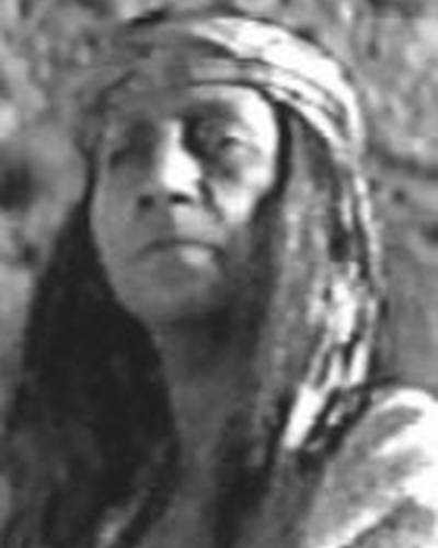 Родд Редвинг фото