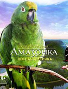 Амазонка 3D