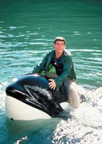 Кадр Освободите Вилли 3: Спасение