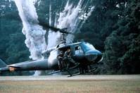 Кадр Морские котики