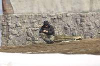 Кадр Прячься!