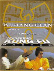 Мастер кунг-фу