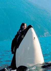 Кадр Освободите Вилли 3: Спасение