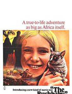 The Bushbaby