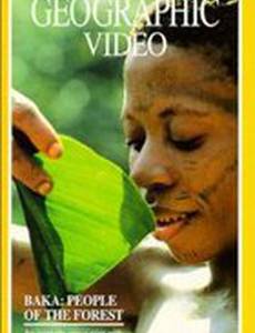 Baka: The People of the Rainforest