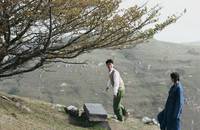 Кадр Под ветвями боярышника