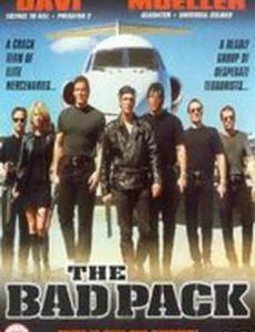 Отряд возмездия