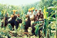 Кадр В поисках приключений