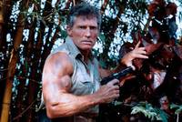 Кадр Der Stein des Todes