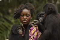 Кадр Бонобо