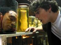 Кадр Восставший из ада 8: Адский мир (видео)