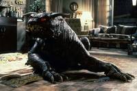 Кадр Охотники за привидениями