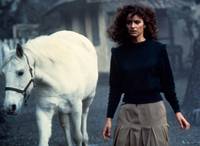 Кадр Крепость