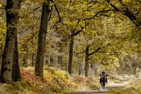 Кадр L'odeur de la mandarine