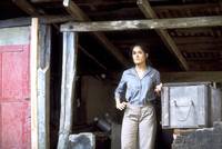 Кадр Времена бабочек