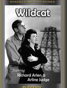 Wildcat