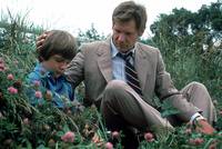 Кадр Свидетель