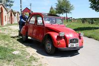 Кадр 2 ягоды