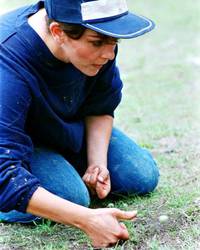 Кадр Дикая роза