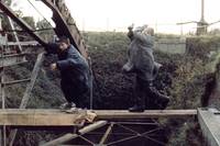 Кадр Сын акулы