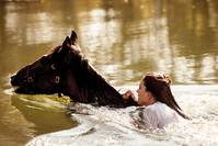 Кадр L'odeur de la mandarine