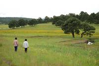 Кадр Кочочи