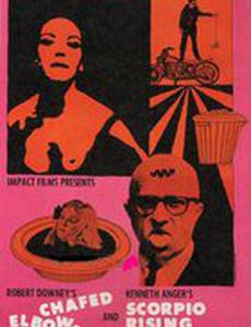 Восход Скорпиона