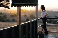 Кадр Дерево