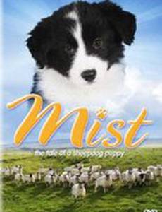 Mist: The Tale of a Sheepdog Puppy