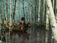 Кадр Дедушка Мазай и зайцы