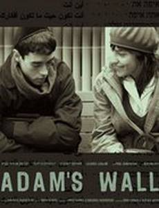 Стена Адама