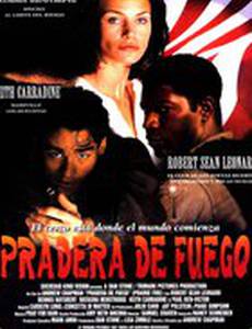 Под перекрестным огнем