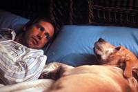 Кадр Забавная ферма