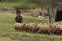 Кадр Дочери Маклеода