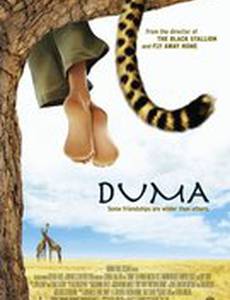 Мысли о свободе