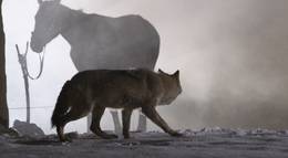 Кадр из фильма "Старик" - 1