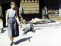 Кадр Тени знойного лета