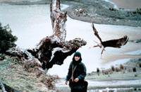 Кадр Работа