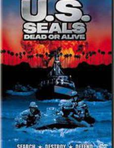 Несущие бурю