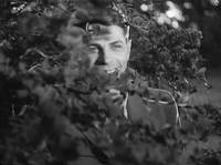 Кадр Тимур и его команда