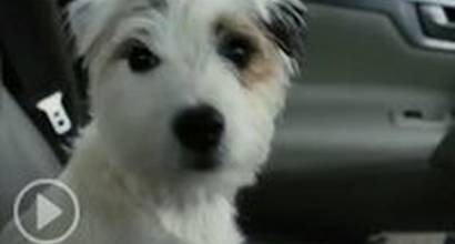 ТВ-ролик №4