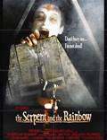 Постер из фильма "Змей и радуга" - 1