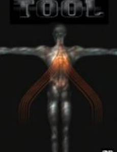 Tool: Salival (видео)