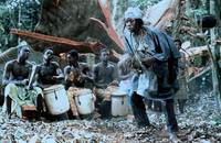 Кадр African Timber