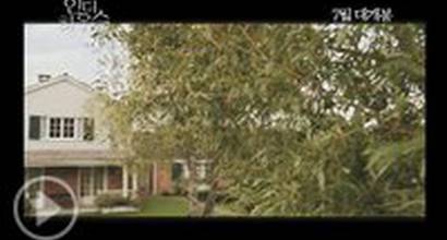 Международный трейлер