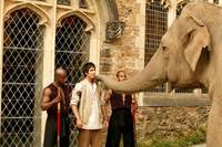 Кадр Слон и принцесса