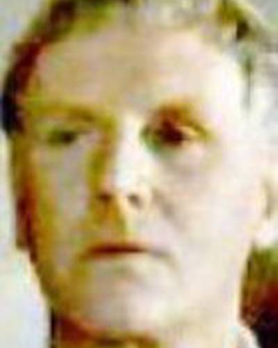 Анджело Бруун фото