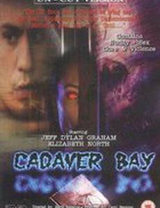 Залив мертвецов (видео)