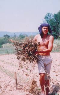 Кадр Правосудие