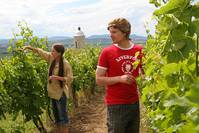 Кадр 2 ягоды